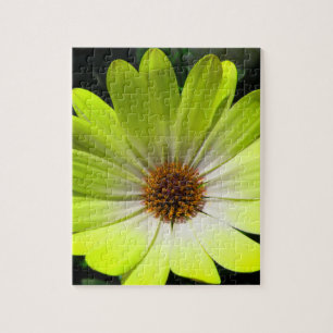 Afrikansk Daisy Fluorescent Gult Puzzle Pussel