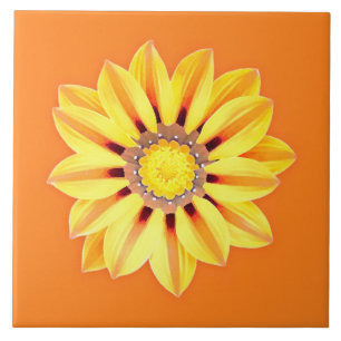 Afrikansk Daisy/Gazania - Orange och Gult Kakelplatta