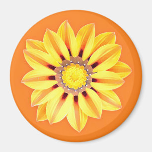 Afrikansk Daisy/Gazania - Orange och Gult Magnet