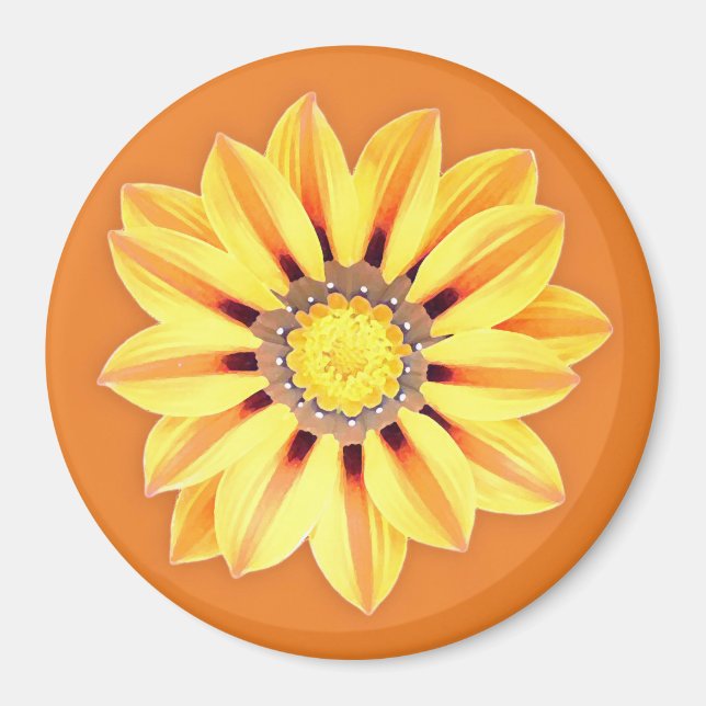 Afrikansk Daisy/Gazania - Orange och Gult Magnet (Framsidan)