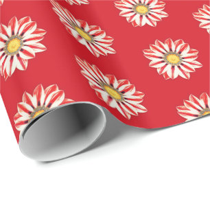 Afrikansk Daisy / Gazania Red and White Stripe Presentpapper