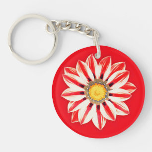 Afrikansk Daisy/Gazania - Röda och vita strimmor