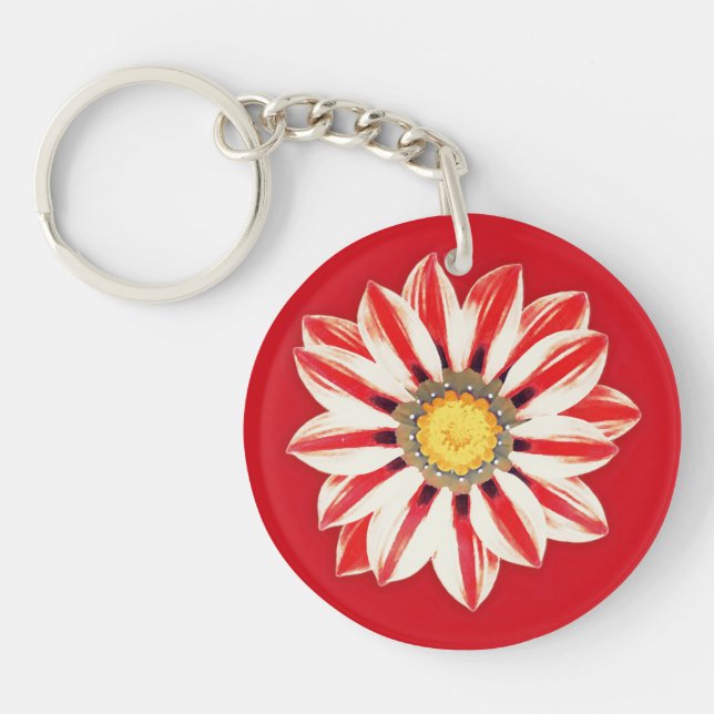 Afrikansk Daisy/Gazania - Röda och vita strimmor (Framsidan)