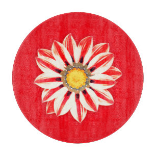 Afrikansk Daisy/Gazania - Röda och vita strimmor