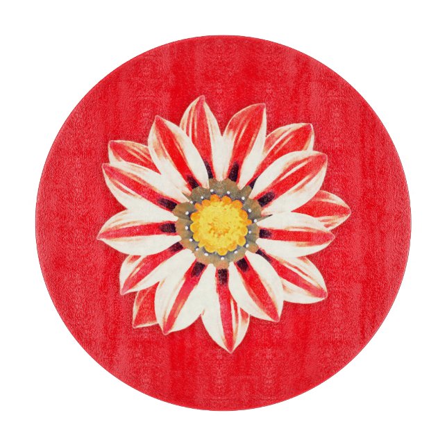 Afrikansk Daisy/Gazania - Röda och vita strimmor (Framsidan)