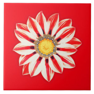 Afrikansk Daisy/Gazania - Röda och vita strimmor Kakelplatta