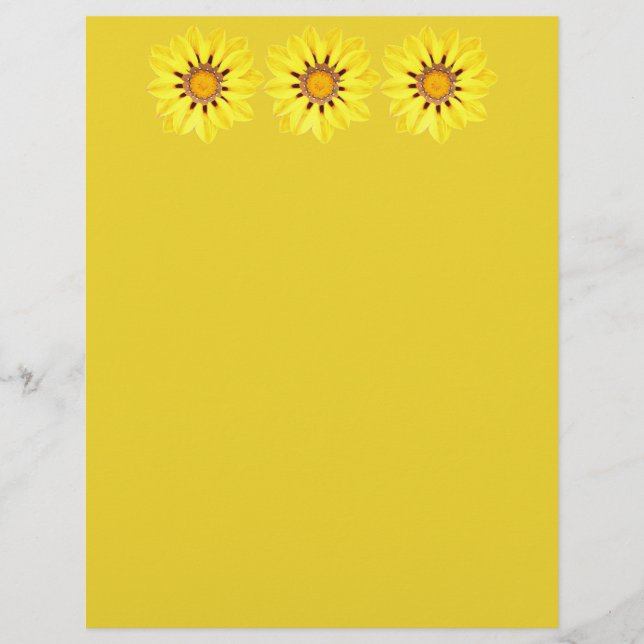 Afrikansk Daisy/Gazania - Senard Gult (Framsida)