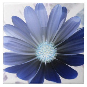 Afrikansk Daisy Glowing Blue Tile Kakelplatta