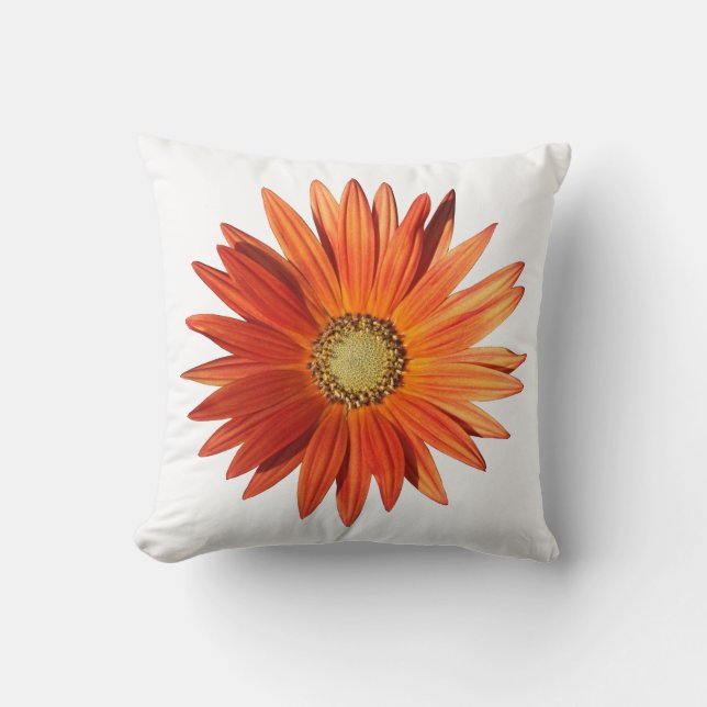 Afrikansk Daisy Kudde (Framsida)