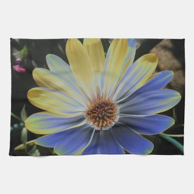 Afrikansk Daisy Lapis och Guld Kitchen Towel Kökshandduk (Horisontell)