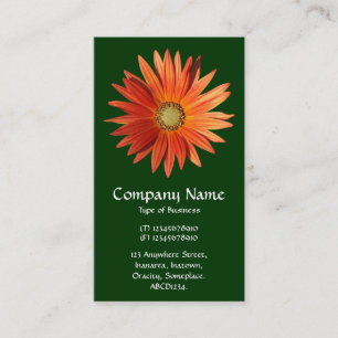 Afrikansk Daisy - Mörk grönt Visitkort