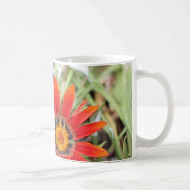 Afrikansk Daisy mugg (Höger)