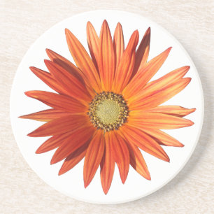 Afrikansk Daisy Underlägg