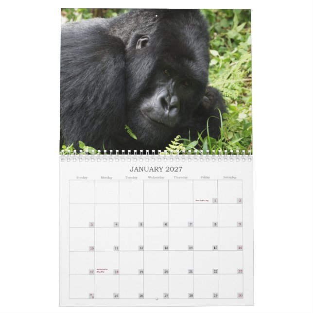 Afrikansk djurlivkalender 2013 kalender (Jan 2027)