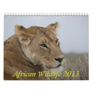 Afrikansk djurlivkalender 2013 kalender