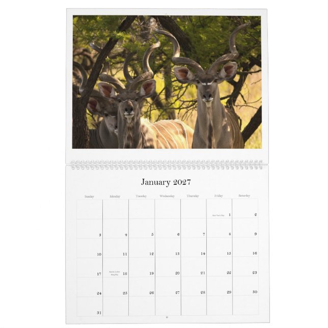Afrikansk djurlivkalender kalender (Jan 2027)