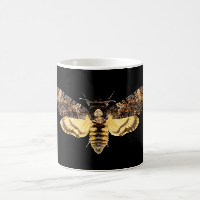 Afrikansk dödskalle mth butterfly insekt Acheronti Kaffemugg (Center)