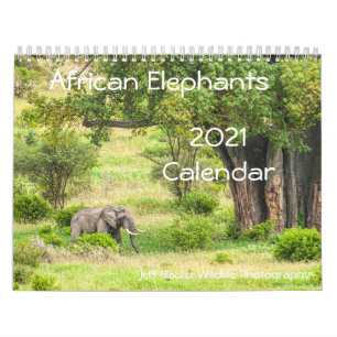 Afrikansk elefant 2021-väggkalender kalender