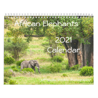 Afrikansk elefant 2021-väggkalender kalender