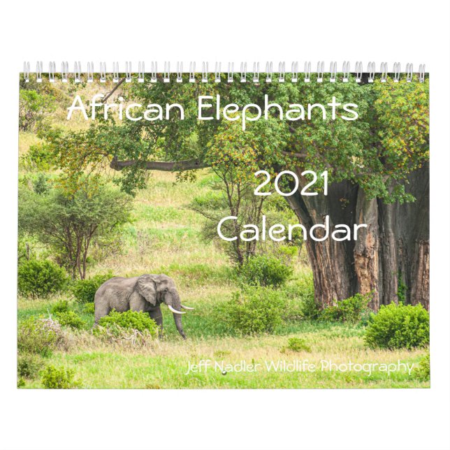 Afrikansk elefant 2021-väggkalender kalender (Omslag)