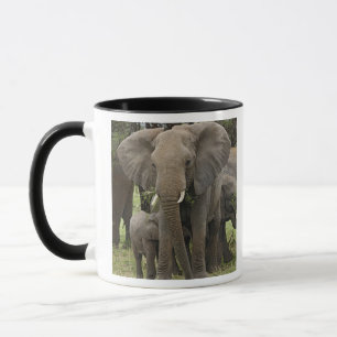 Afrikansk elefant Flock Mugg