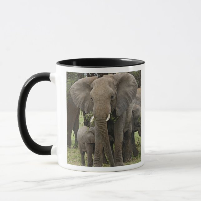 Afrikansk elefant | Flock Mugg (Vänster)