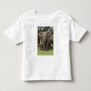 Afrikansk elefant Flock Tee