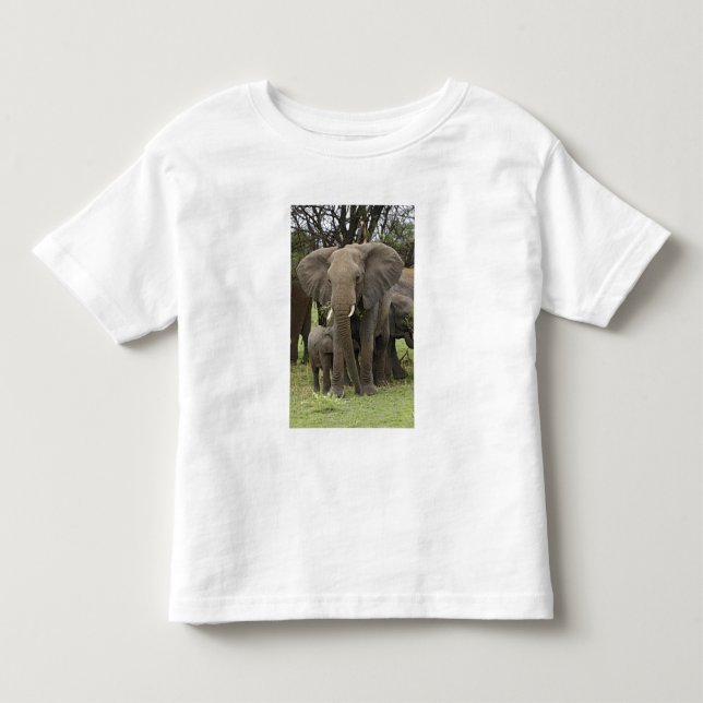 Afrikansk elefant | Flock Tee Shirt (Framsida)