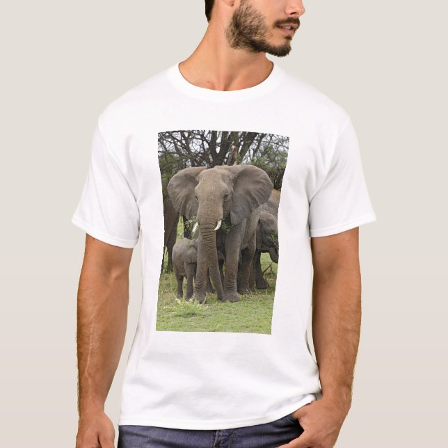 Afrikansk elefant | Flock Tröja (Framsida)