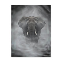 Afrikansk Elefant i Dimmig Disa Lugnt Impasto
