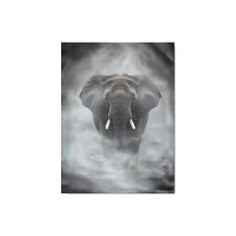 Afrikansk Elefant i Dimmig Dunst Lugnt Impasto