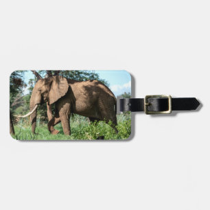 Afrikansk elefant i Safari Bagagebricka