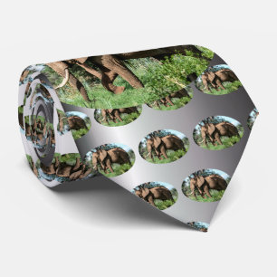 Afrikansk elefant i Safari Slips