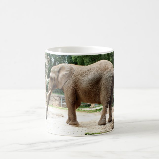 Afrikansk elefant kaffemugg (Center)