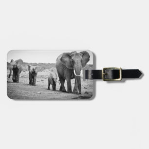 Afrikansk elefant & kalvar Kenya, afrika Bagagebricka