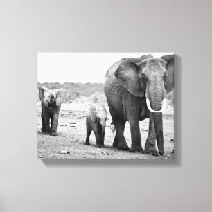 Afrikansk elefant & kalvar Kenya, afrika Canvastryck