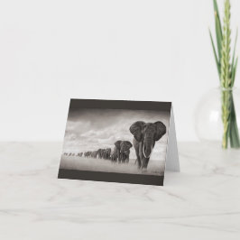 Afrikansk elefant kort
