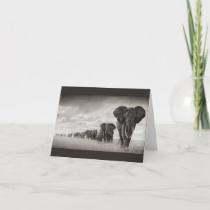 Afrikansk elefant kort