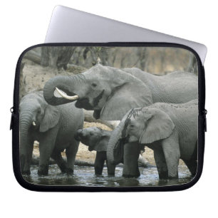 Afrikansk elefant, (Loxodonta africana), dricker Laptop Fodral