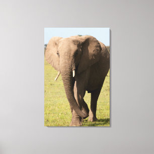 Afrikansk elefant (Loxodonta Africana), Maasai Canvastryck