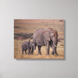 Afrikansk elefant med unge canvastryck