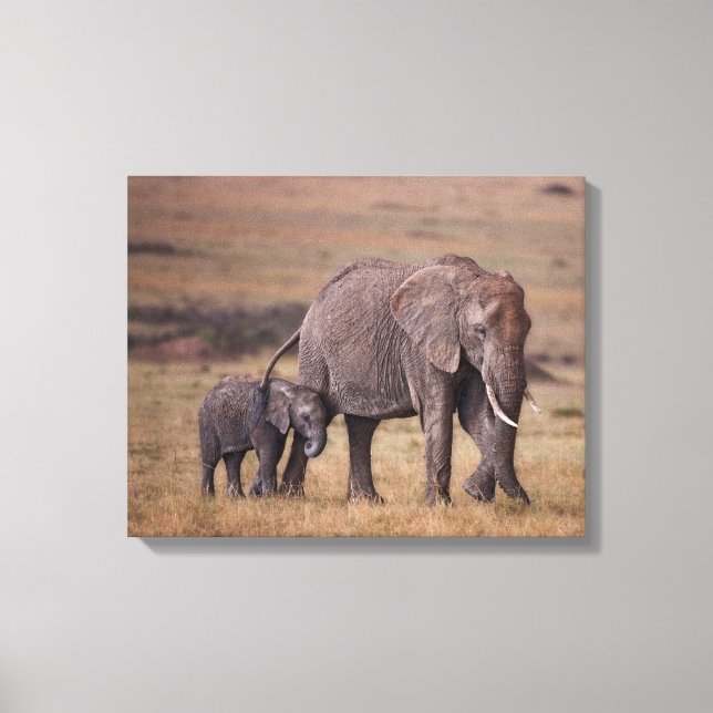 Afrikansk elefant med unge canvastryck (Framsida)