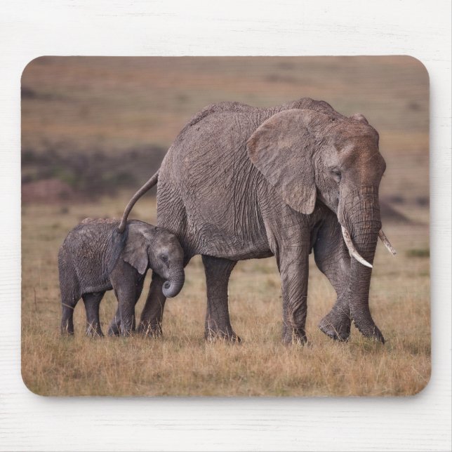 Afrikansk elefant med unge musmatta (Framsidan)