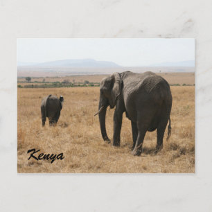 afrikansk elefant mor vykort