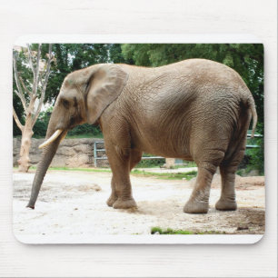 Afrikansk elefant musmatta