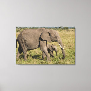 Afrikansk elefant och unge (Loxodonta africana), Canvastryck