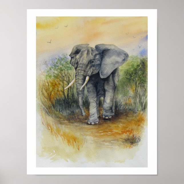 Afrikansk elefant poster (Framsidan)