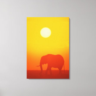 Afrikansk elefant som går i solnedgången, Kenya , Canvastryck