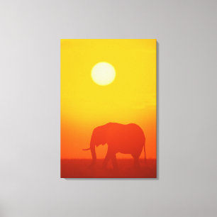 Afrikansk elefant som går på solnedgången, Keny Canvastryck