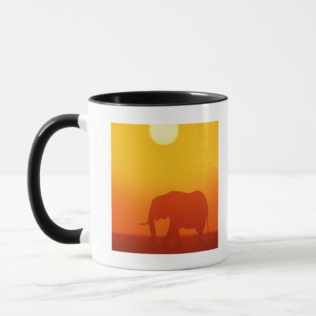 Afrikansk elefant som går på solnedgången, Kenya Mugg (Vänster)
